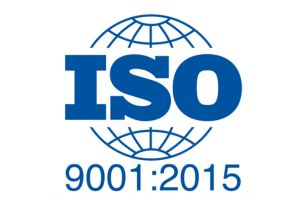 untitled design (15)